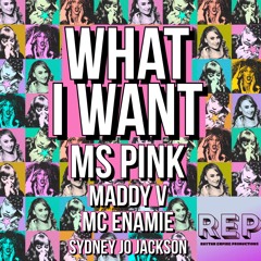 Ms Pink, Maddy V, Sydney Jo Jackson, Mc Enamie - What I Want Teaser