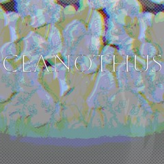 Ceanothus Feat. Oliver {Vocaloid Original}