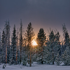 Afterglow (Ed Sheeran Piano Vocal Cover by olliray) (Live)