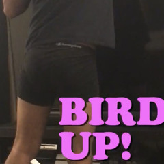 Anaconda (Drum and Bass Edition)