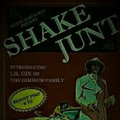 Lil Gin - Shake Junt (DnB remix)