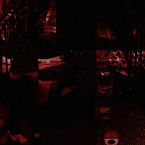 gnat (prod frazer)