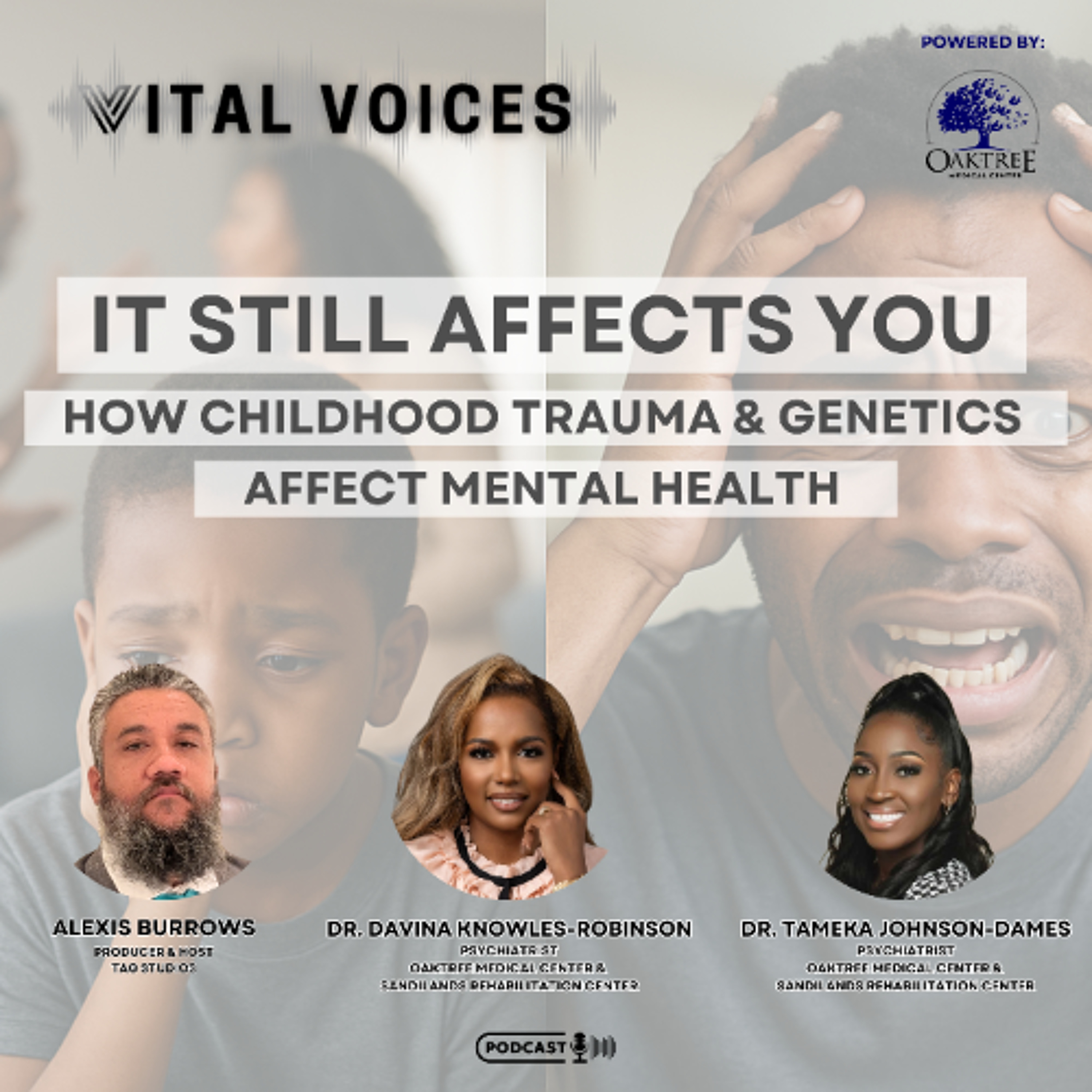 Vital Voices Podcast