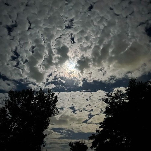 Jace! - Way Back Then