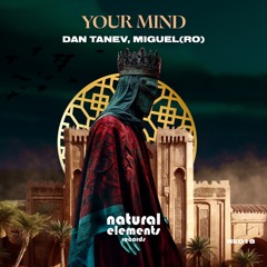 Dan Tanev, Miguel (RO) - Your Mind (Short Mix)