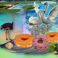 RICH GIRL SAD BOY (demo)