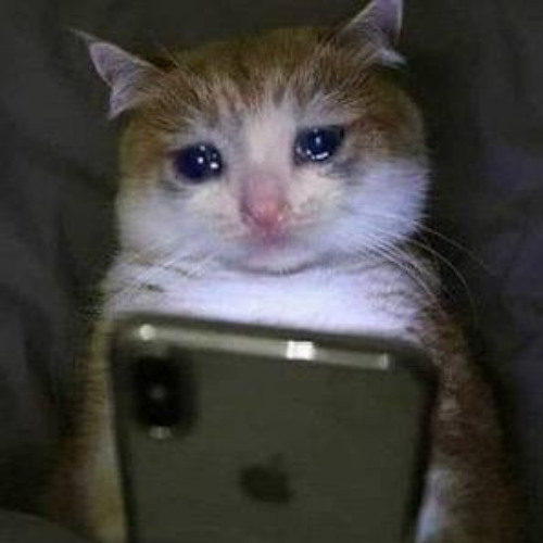 ngày mai a khải đi mất