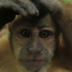 -SINGE 2 NUIT-01  141Bpm