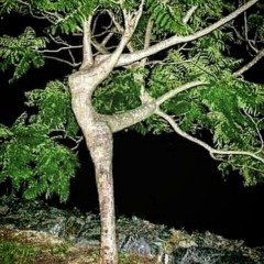 unconsciousness