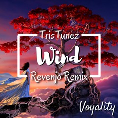 TrisTunez - Wind (Revenjo Remix) | VMR Release