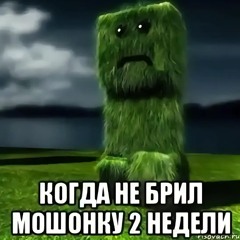 Ноуджерк нон свага😭😭😭🥀🥀🥀 щшщшщшшшщшщшшщ 42 ладу калину