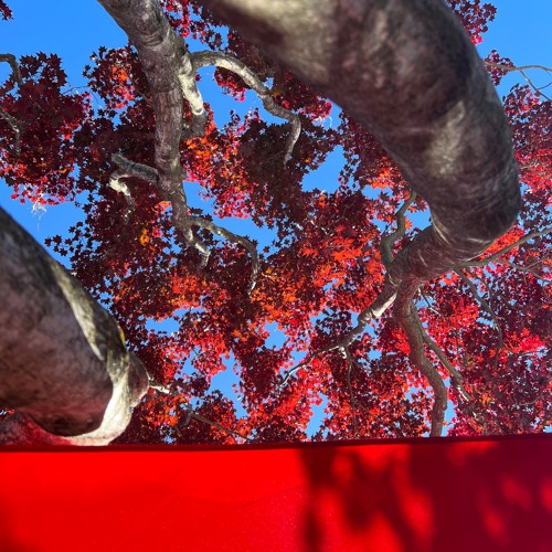 Do What I Want Feat CUB demo