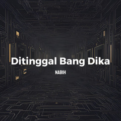 Ditinggal Bang Dika