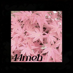 44.meh - VIP MIXX