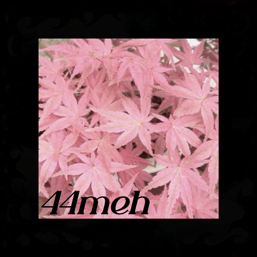 44.meh - VIP MIXX