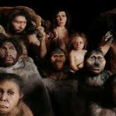 It's Evolutionary (disquiet0580)
