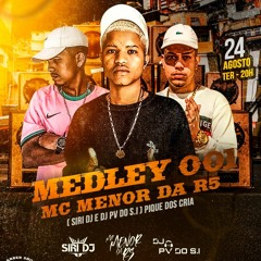MEDLEY 001 MC MENOR DA R5 [ SIRI DJ E DJ PV DO SI ] - PIQUE DOS CRIA