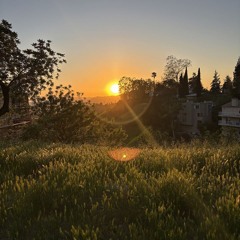 Panorama Heaven w/ Bianca Lexis 070525