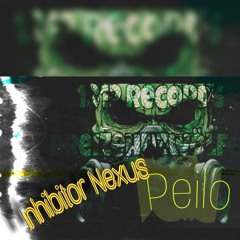 PEILO VS INHIBITOR UND NEXUS ( 1312er DashBrett)