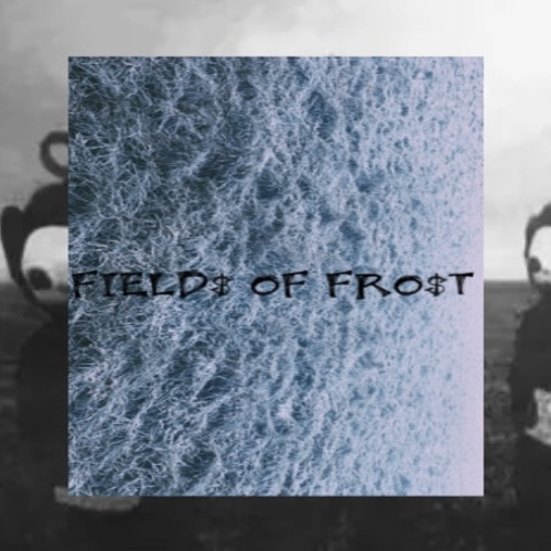 FIELD$ OF FRO$T FT. YOKAI KO (PROD. ZODIACC)