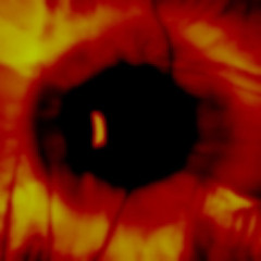 Dummy(p.Saint Urya)KashMix