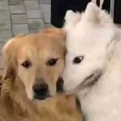 SAU NGẦN ẤY NĂM REMIX - HÀ NHI