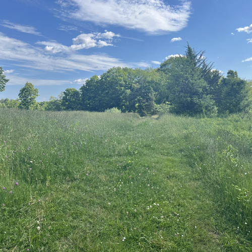 the place where he inserted the blade