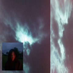 dogs roam over the edge