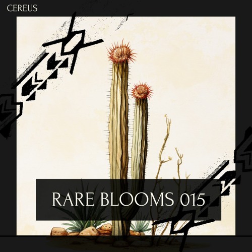 Cereus - Rare Blooms 015