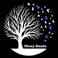 Nicey Beats 💜