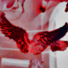 I WISH (with DOM!NOZ)