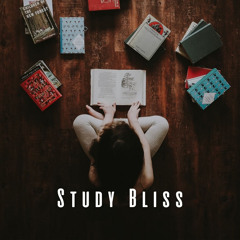 Study Flow with Chill Vibes