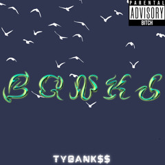 TyBank$$ - Fly (2 High)