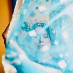 L'Envol - Extended Version - Tudyka