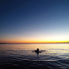 Transparent Mind States