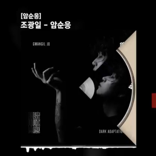 조광일 - 암순응