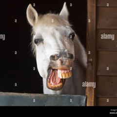 wonky donky