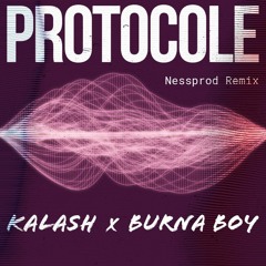 Kalash feat. Burna Boy - PROTOCOLE (Nessprod Remix)