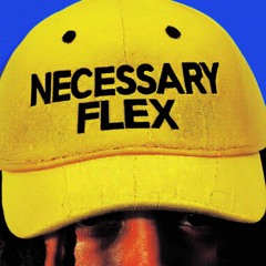 Necessary Flex