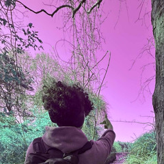 AL3KKX X VERYALONE #WEIRDMF #DOME