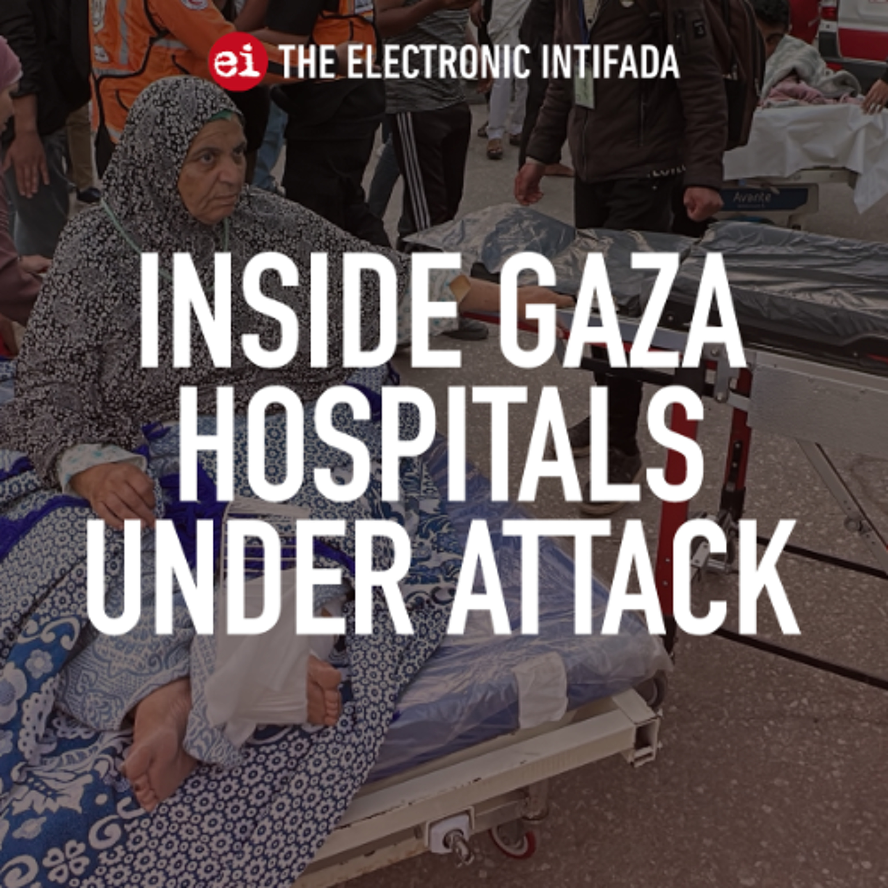The Electronic Intifada