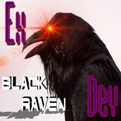 Black Raven