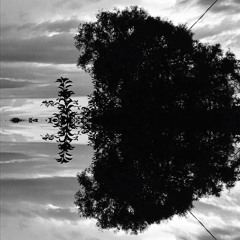 JuonBeats - Bloody sunrise