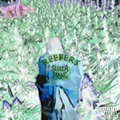 Reefers (prod. Cozy) Slowed