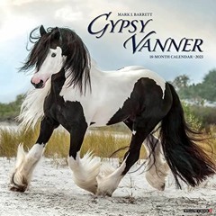 [READ] EBOOK 📒 Gypsy Vanner Horse 2023 Wall Calendar by  Willow Creek Press PDF EBOO