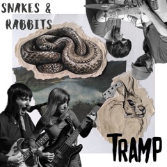 Snakes & Rabbits