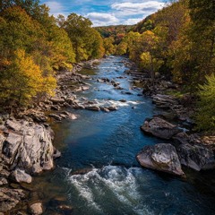 Shawnee River Revival Written by Stephen Foster (1851) –  Arranged & Performed by Phillip Thomas