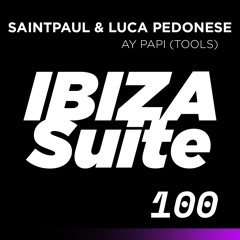 SAINTPAUL DJ & LUCA PEDONESE - AY PAPI (intro tool)