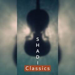 Schumann - Symphony No.1 "Spring" - 1