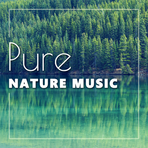 Stream Rainforest | Listen to Pure Nature Music – Background Music for  Wellness, Sounds of Nature for Spa, Healing Touch, Serenity Nature Sounds  playlist online for free on SoundCloud